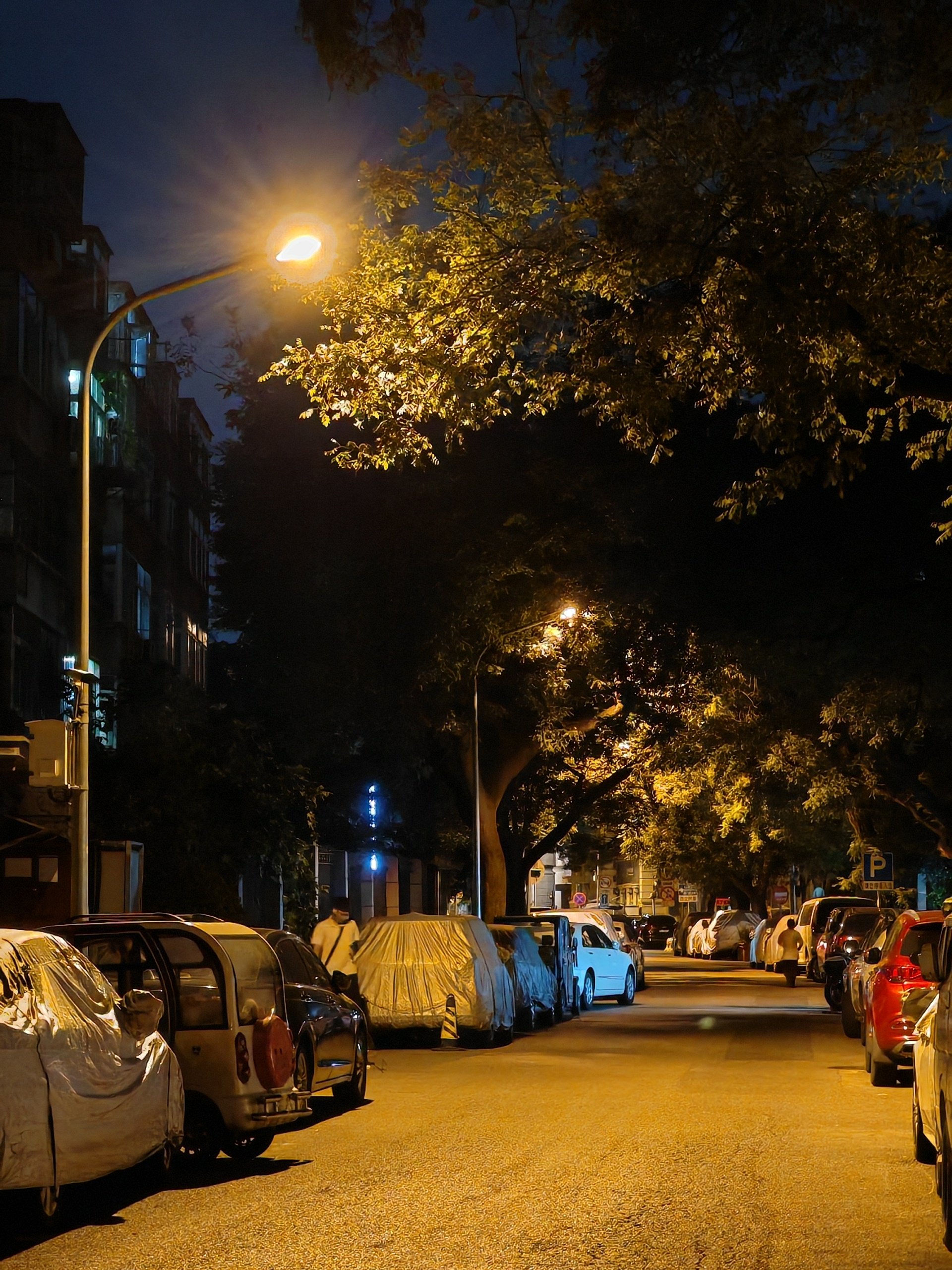 初秋夜景图片图片