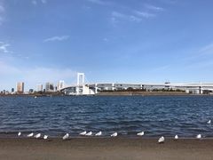-台场海滨公园船码头