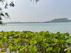 -长白岛森林公园