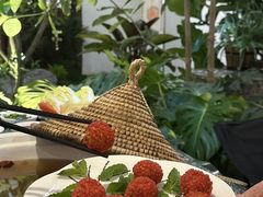 -菌林天下·野生菌汤锅