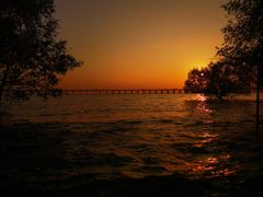 -宝安西湾红树林湿地公园