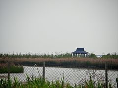 -漩门湾国家湿地公园