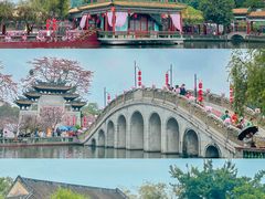 -宝墨园景区