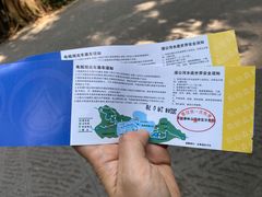 -西双版纳原始森林公园