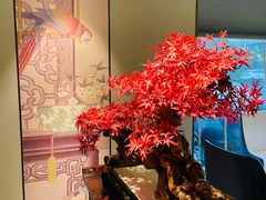 -顺峰(农展馆店)