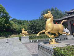 -扬州瘦西湖汇金酒店