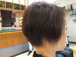 点击看大图 -京世沙龙