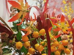 -蟹田居·活蟹料理(东城店)