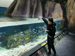 -江和美海洋公园