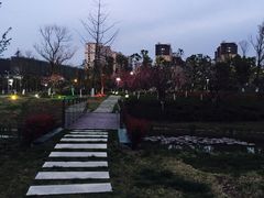 -中国银行江苏省分行培训中心