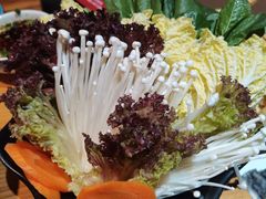 -成老灶火锅鸡(高东街店)