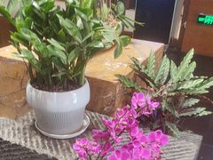 -黔蘑菇四季餐厅(观山湖店)