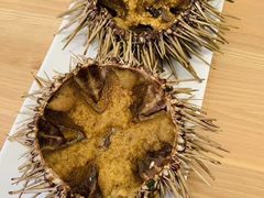 -海胆小馆(东北水饺·春柳店)