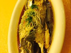 -华滨国际大酒店