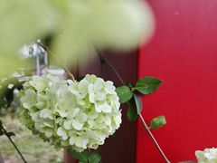 -大龙山(地铁站)