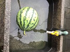 -将军关探险漂流