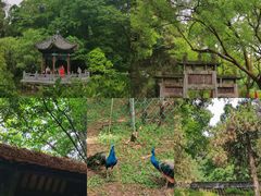 -古隆中景区