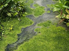 -那考河湿地公园