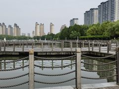 -潜龙渠公园