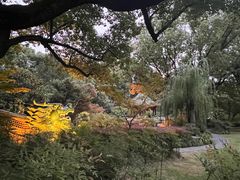 -申粤轩酒楼·三十年粤菜经典(丁香花园店)