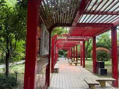 -南翔镇银翔湖公园