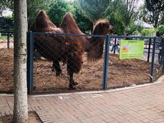 -长白岛森林公园