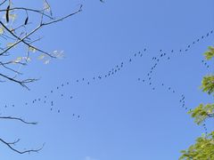 -厦门园林博览苑