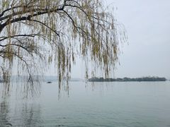 -西湖外事游船(花港观鱼码头)