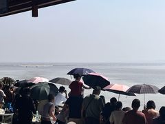 -观潮胜地公园