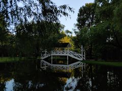 -上海共青森林公园