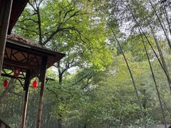 -宝岩生态观光园