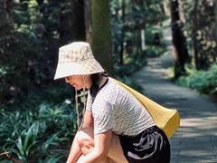 -窦圌山风景区