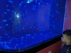 -烟台海昌鲸鲨海洋公园