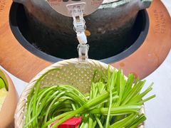 -芸山季·云南野生菌火锅(人民广场来福士店)