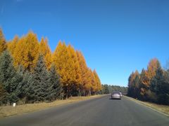 -塞罕坝国家级自然保护区