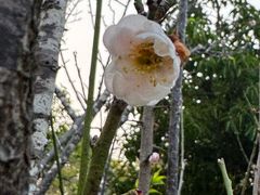 -荔园小馆(园岭新村二期店)
