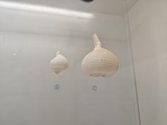 -青岛贝壳博物馆