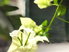 -西关84·History·Art·Cafe