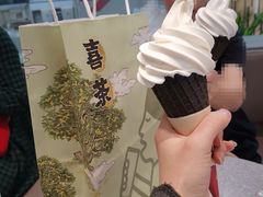 芝芝雪糕-喜茶(广州中山六路店)