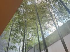 -老乡鸡(融科天地店)