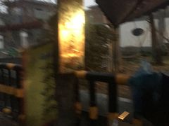 -马文章胖子甑糕(洒金桥店)
