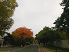 -吉林大学(南岭校区)