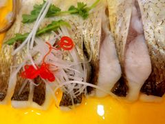 -鲁宴·鲁煨黄河生态大鲤鱼(月坛店)