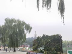 -姚记炒肝店(鼓楼店)