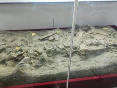 -嘉荫恐龙国家地质公园