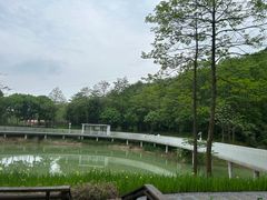 -天花井景区