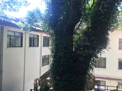 -普陀山雷迪森庄园