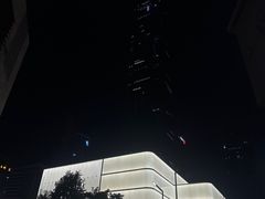 -平安金融中心云际观光层