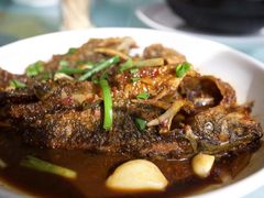 红烧昂子鱼-状元楼(金溪路店)