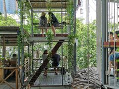-Rainforest